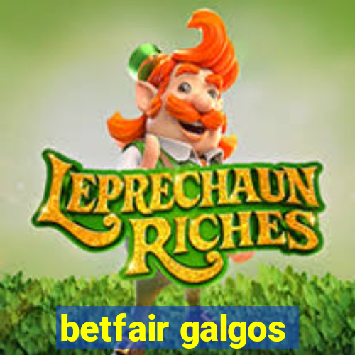 betfair galgos